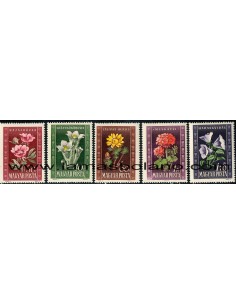 SELLOS HUNGRIA 1950 - FLORES - 5 VALORES FIJASELLO - CORREO