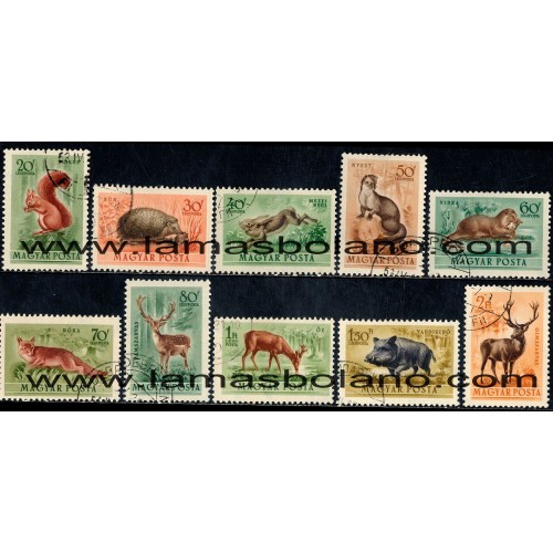 SELLOS DE HUNGRÍA 1953 - ANIMALES SALVAJES - 10 VALORES MATASELLADOS - AEREO