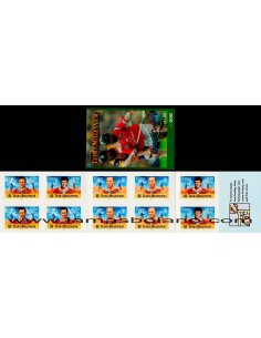 SELLOS IRLANDA 2000 EQUIPO DE JUGADORES DE HURLING DEL MILENIO - 40 VALORES AUTOADHESIVOS 4 CARNETS - CORREO 2