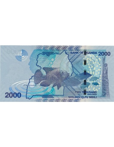 Billete Uganda 2019 2000 Shillings