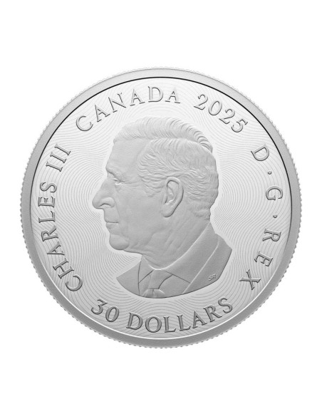 10013637