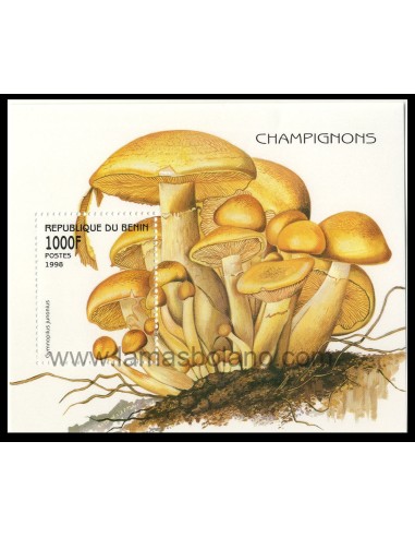 SELLOS DE BENIN 1998 - SETAS - HOJITA BLOQUE