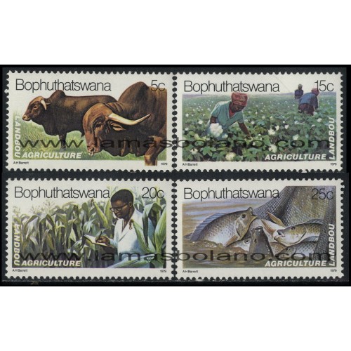 SELLOS DE BOPHUTHATSWANA 1979 - AGRICULTURA - 4 VALORES - CORREO