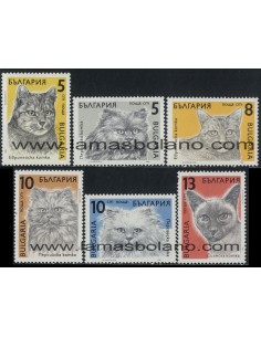SELLOS DE BULGARIA 1989 - GATOS DE RAZA - FAUNA - 6 VALORES - CORREO
