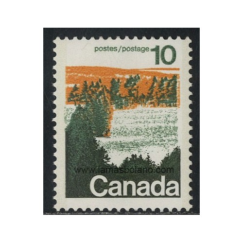 SELLOS DE CANADA 1972 - BOSQUE DEL CENTRO CANADIENSE - 1 VALOR CON FOSFORO - CORREO