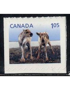 SELLOS DE CANADA 2012 - ANIMALES JOVENES - CARIBU - 1 VALOR DENTADO HORIZONTAL AUTOADHESIVO - CORREO
