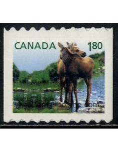 SELLOS DE CANADA 2012 - ANIMALES JOVENES - ALCES - 1 VALOR DENTADO HORIZONTAL AUTOADHESIVO - CORREO