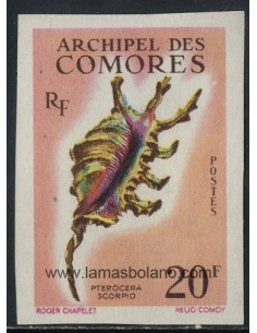 SELLOS DE COMORES 1962 - CONCHAS - PTEROCERA SCORPIO - 1 VALOR SIN DENTAR - CORREO