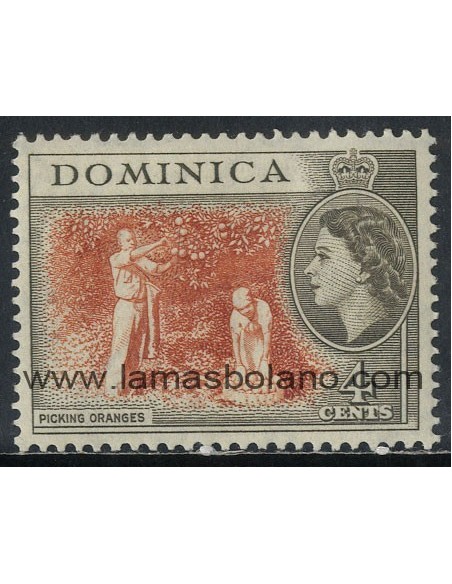 SELLOS DOMINICA 1954 - NARANJAS DE LA COSECHA - 1 VALOR - CORREO