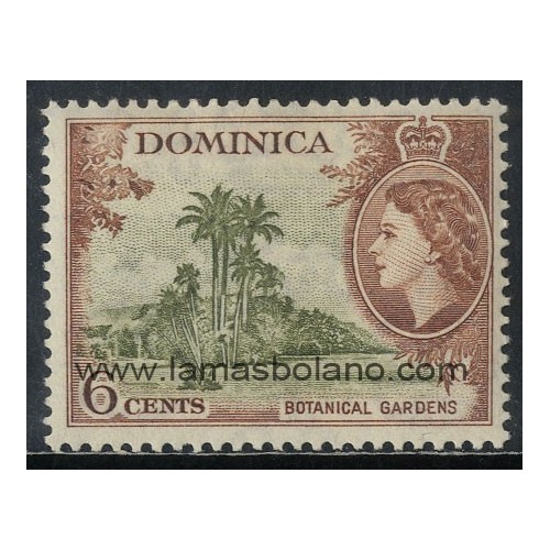 SELLOS DOMINICA 1954 - JARDINES BOTANICOS - 1 VALOR - CORREO
