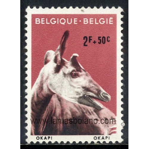 SELLOS BELGICA 1961 - ANIMALES DEL ZOO DE AMBERES - SOBRETASA A FAVOR OBRAS FILANTROPICAS - 1 VALOR - CORREO