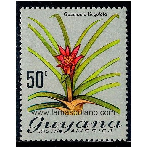 SELLOS GUYANA 1973 - FLORES. GUZMANIA LINGULATA - 1 VALOR - CORREO