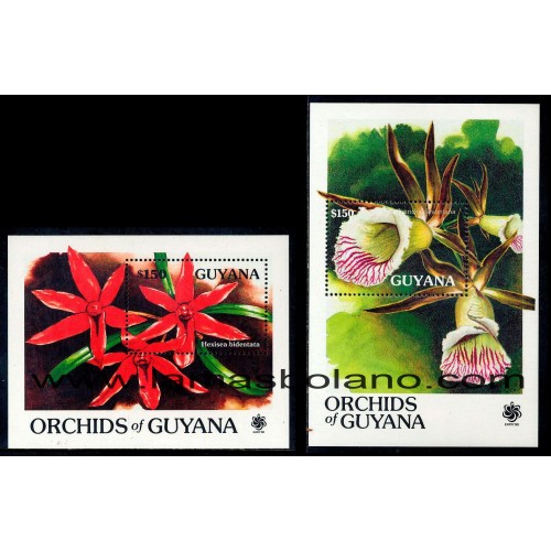 SELLOS GUYANA 1990 - ORQUIDEAS - 2 HOJITAS BLOQUE