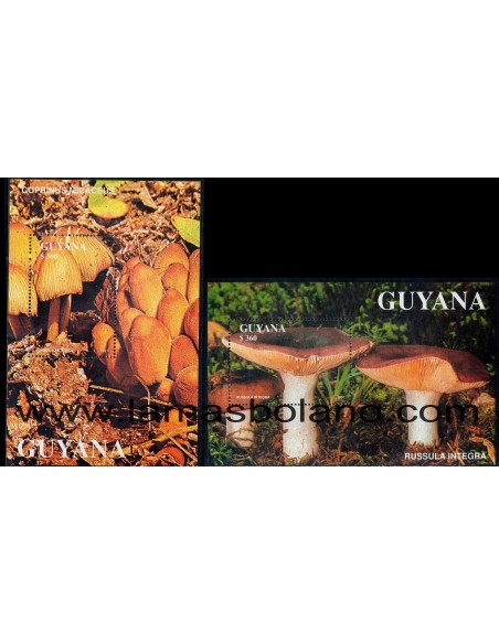 SELLOS GUYANA 1990 - SETAS - 2 HOJITAS BLOQUE