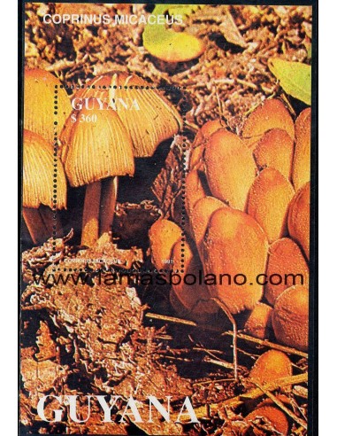 SELLOS GUYANA 1990 - SETAS - 2 HOJITAS BLOQUE