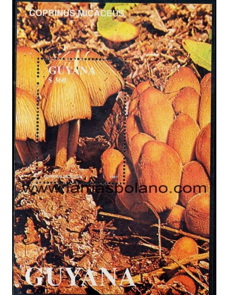 SELLOS GUYANA 1990 - SETAS - 2 HOJITAS BLOQUE