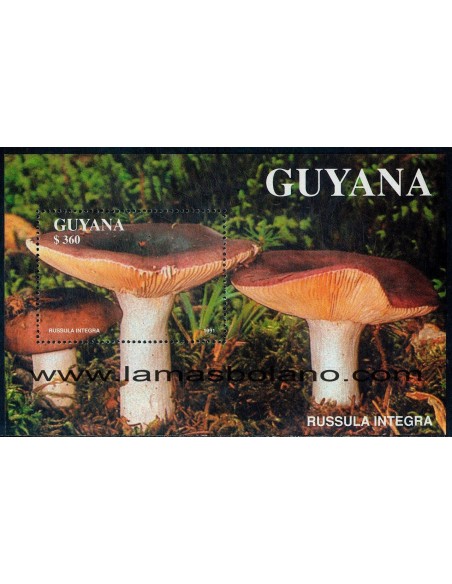 SELLOS GUYANA 1990 - SETAS - 2 HOJITAS BLOQUE